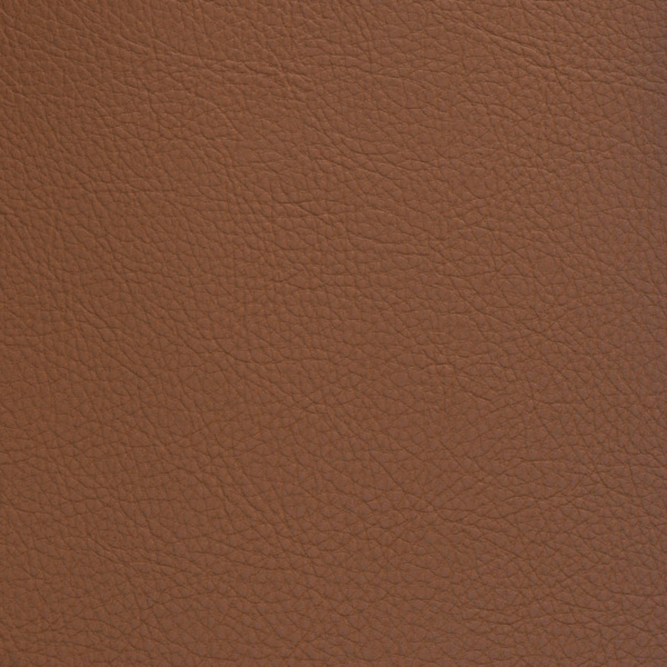 Greenhouse Fabrics F5026 Rodeo upholstery fabric in Rodeo color, ideal for interior decor and furniture upholstery projects.