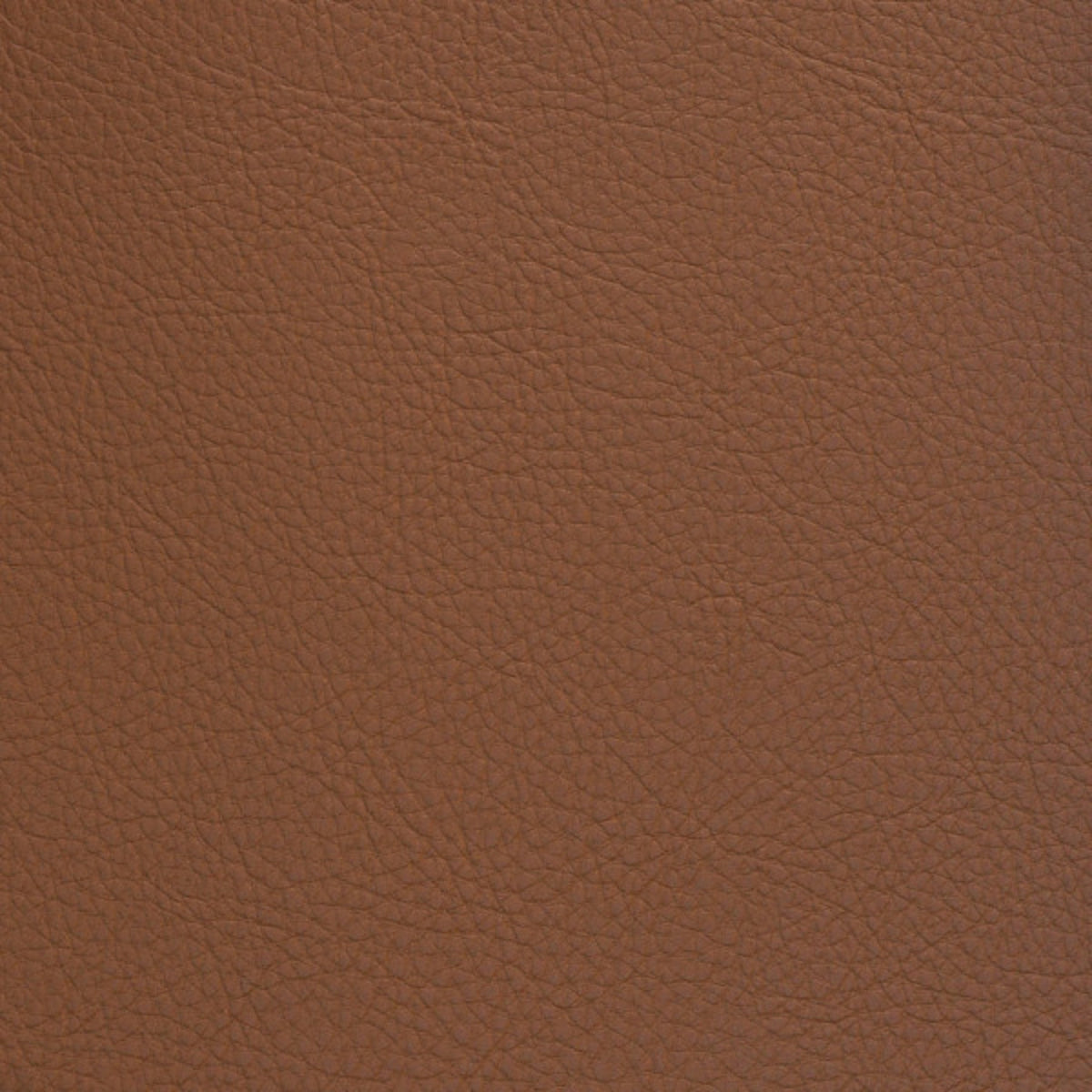 Greenhouse Fabrics F5026 Rodeo upholstery fabric in Rodeo color, ideal for interior decor and furniture upholstery projects.