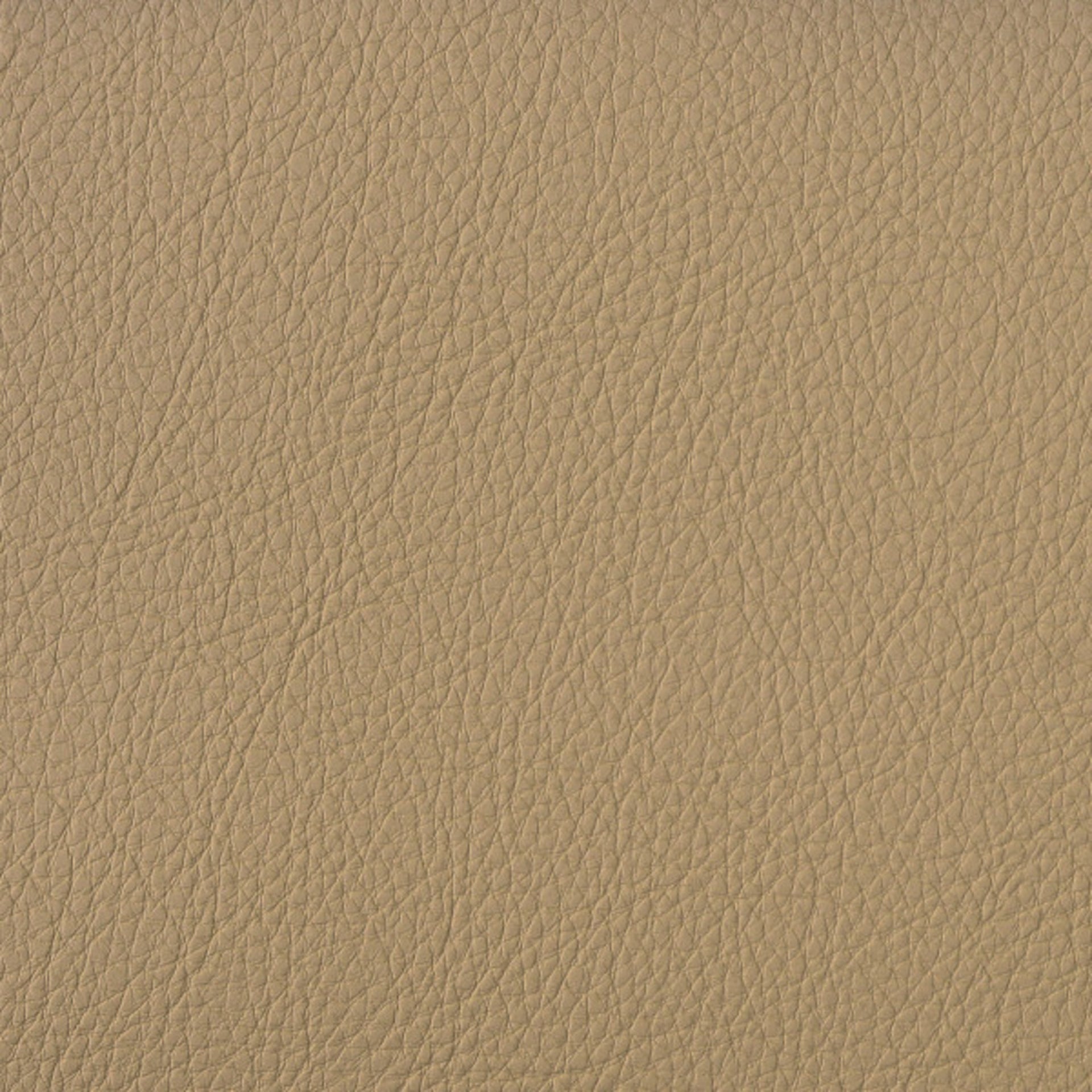 Greenhouse Fabrics F5028 Buff upholstery fabric in Buff color, ideal for interior decor and furniture upholstery projects.