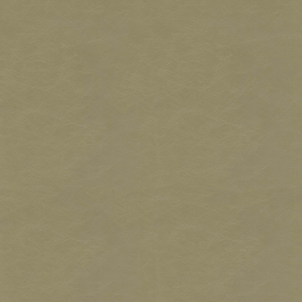 Detailed texture of Greenhouse Fabrics fabric for premium interior decor.