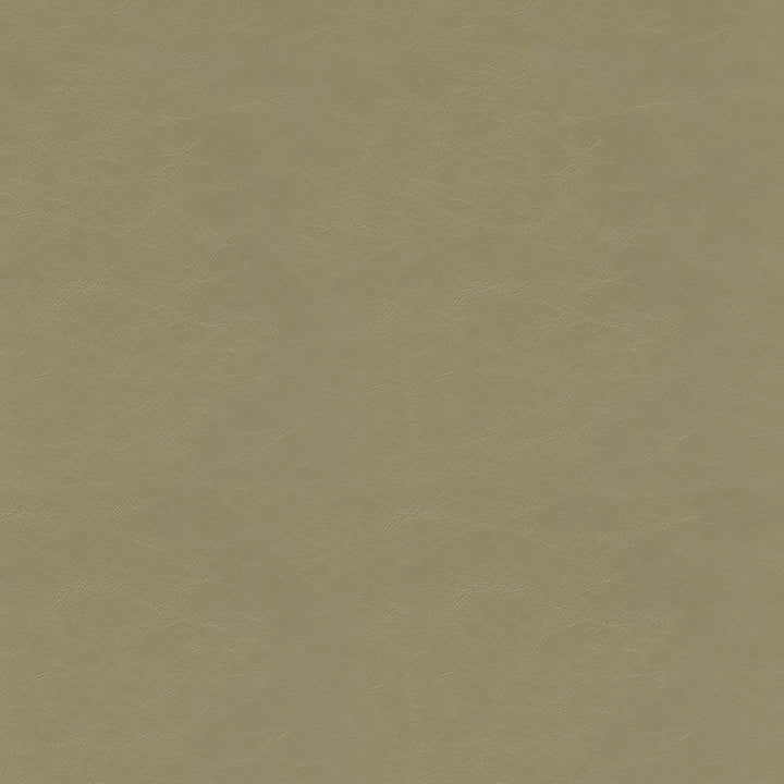 Detailed texture of Greenhouse Fabrics fabric for premium interior decor.