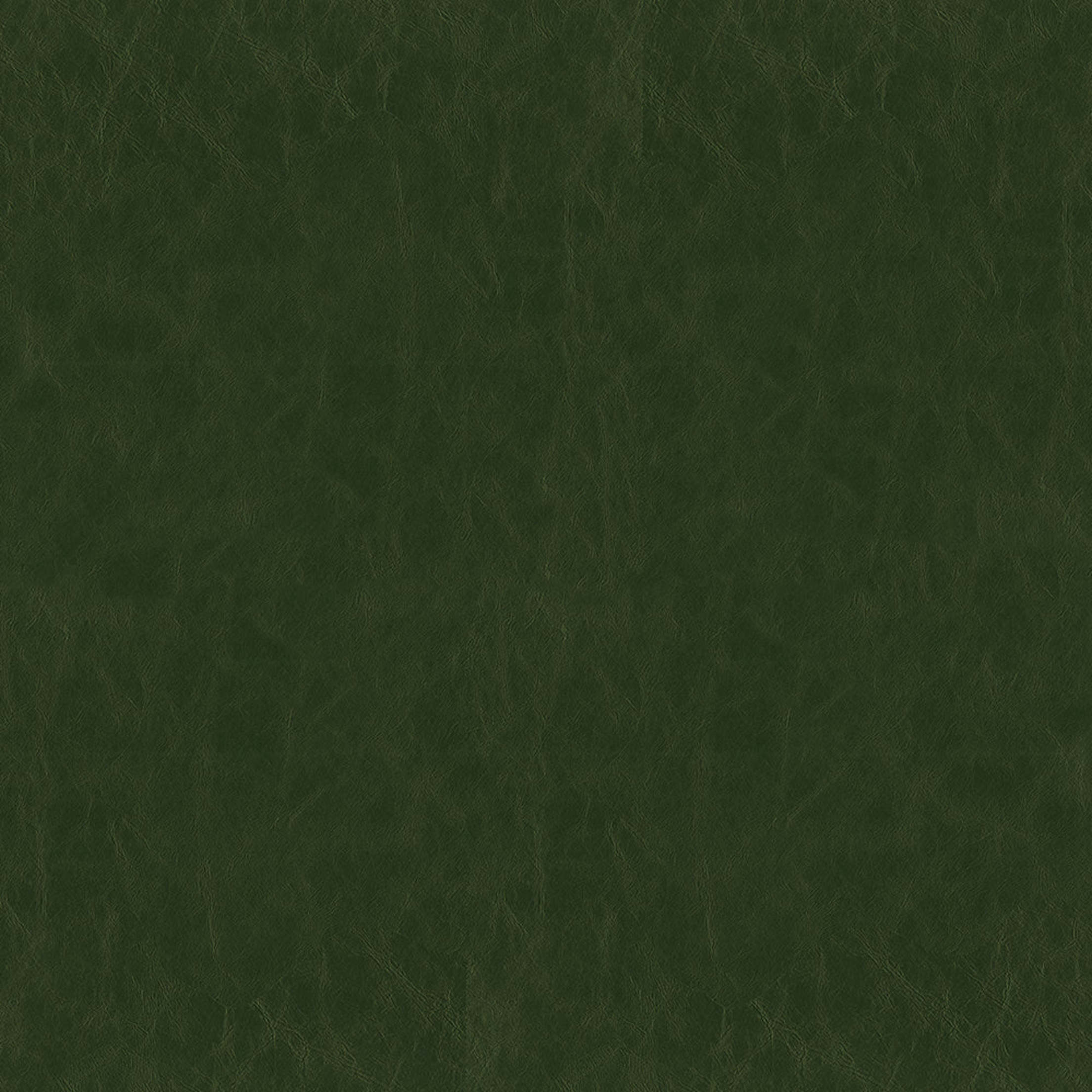 Greenhouse Fabrics fabric displayed for sophisticated decor ideas.