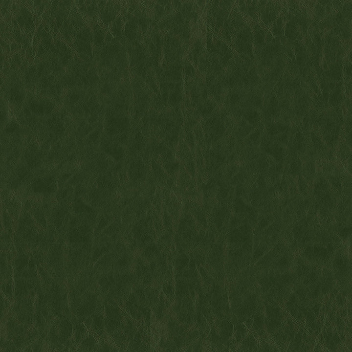 Greenhouse Fabrics fabric displayed for sophisticated decor ideas.