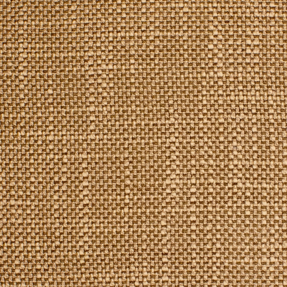 Greenhouse Fabrics fabric displayed for sophisticated decor ideas.
