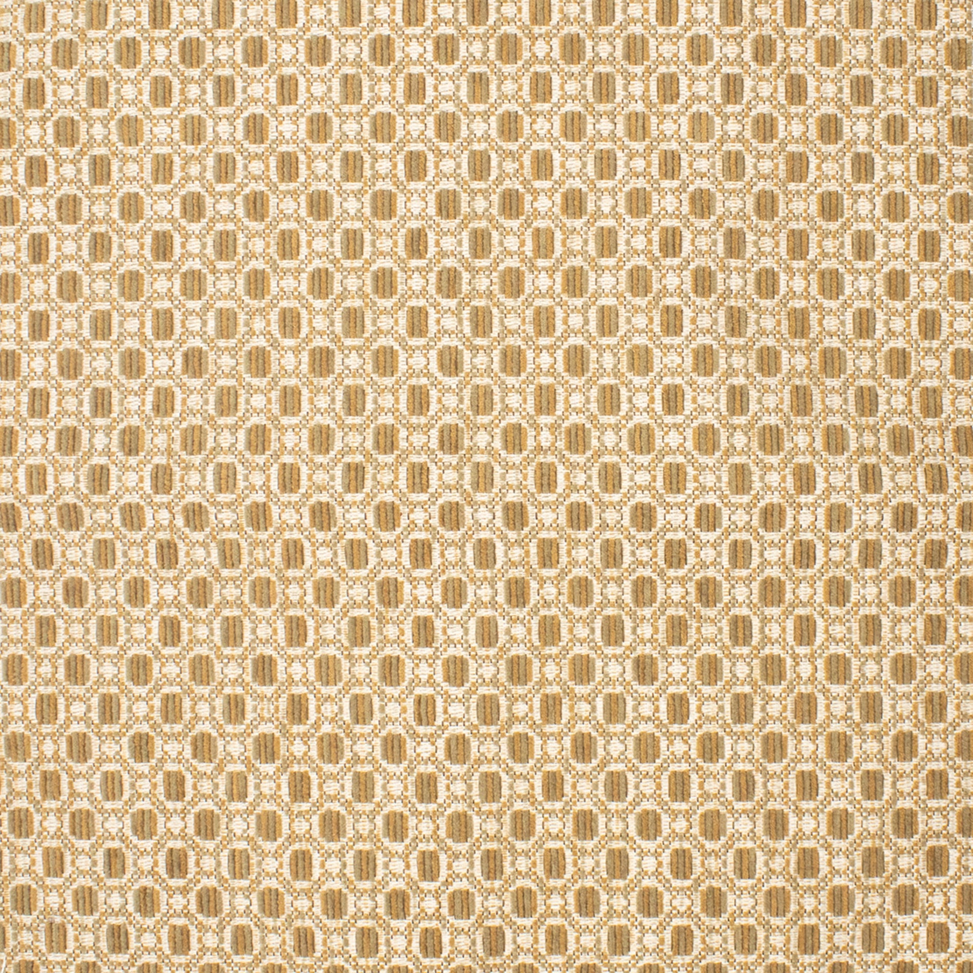 Greenhouse Fabrics F5200 Gold upholstery fabric in Gold color, ideal for interior decor and furniture upholstery projects.