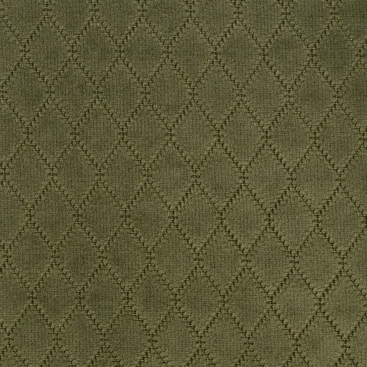 Greenhouse Fabrics fabric displayed for sophisticated decor ideas.