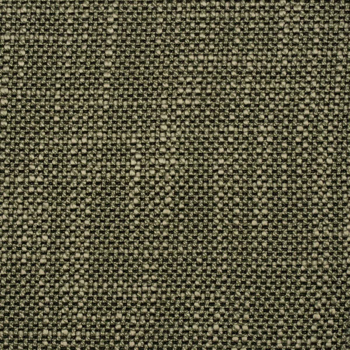 High-quality Greenhouse Fabrics fabric showcasing elegance and durability.