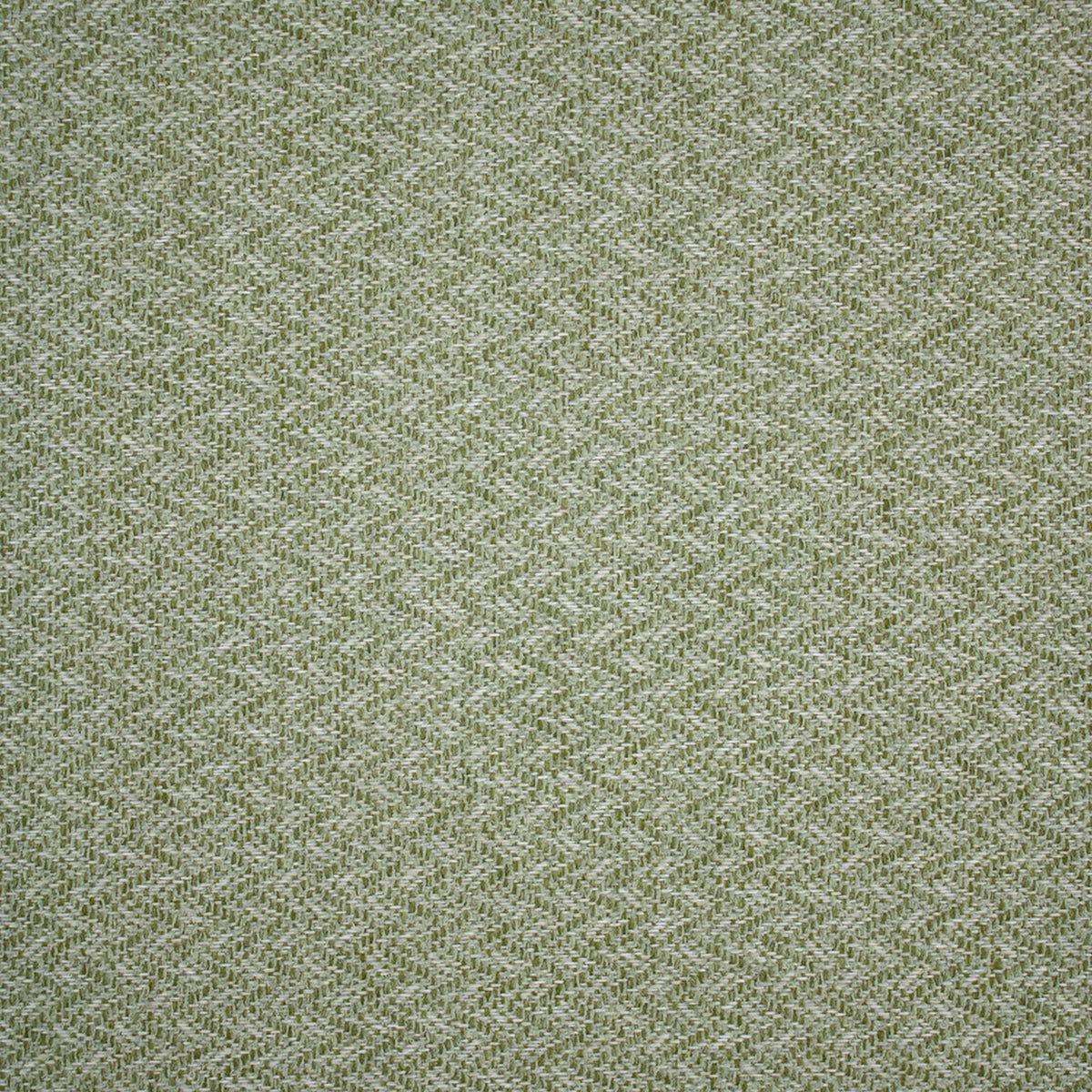 Greenhouse Fabrics fabric displayed for sophisticated decor ideas.