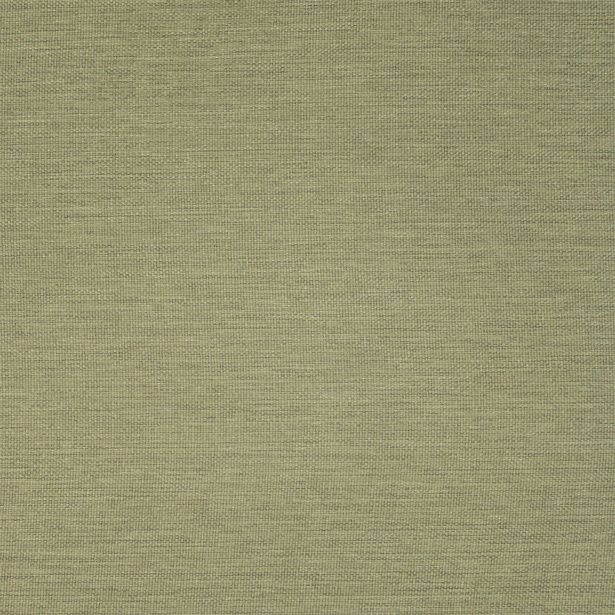 Greenhouse Fabrics fabric displayed for sophisticated decor ideas.