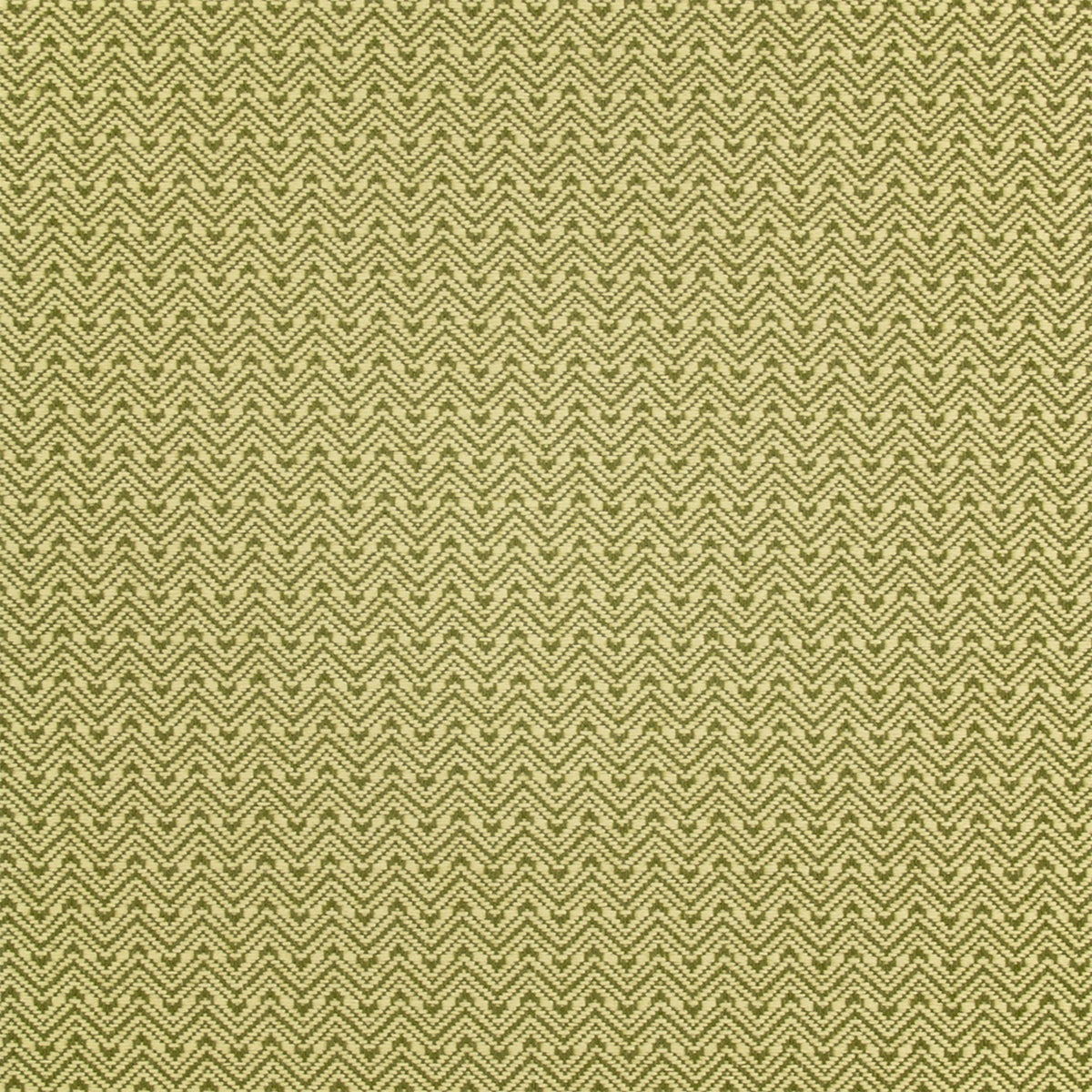 Greenhouse Fabrics fabric displayed for sophisticated decor ideas.
