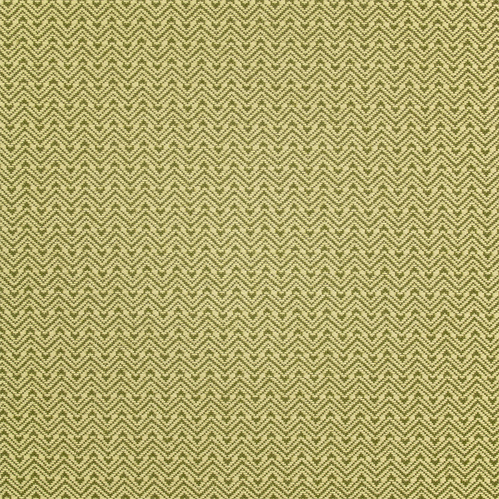 Greenhouse Fabrics fabric displayed for sophisticated decor ideas.