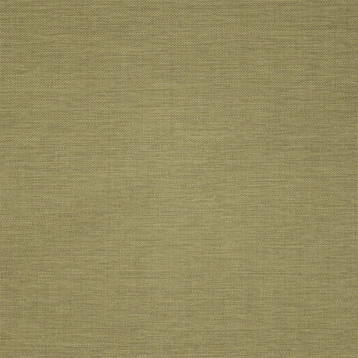 Greenhouse Fabrics fabric displayed for sophisticated decor ideas.