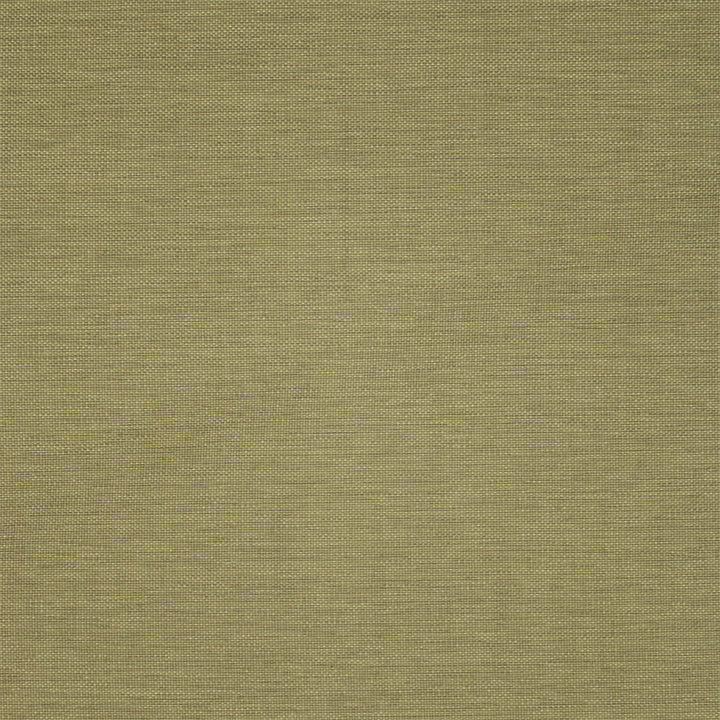 Greenhouse Fabrics fabric displayed for sophisticated decor ideas.