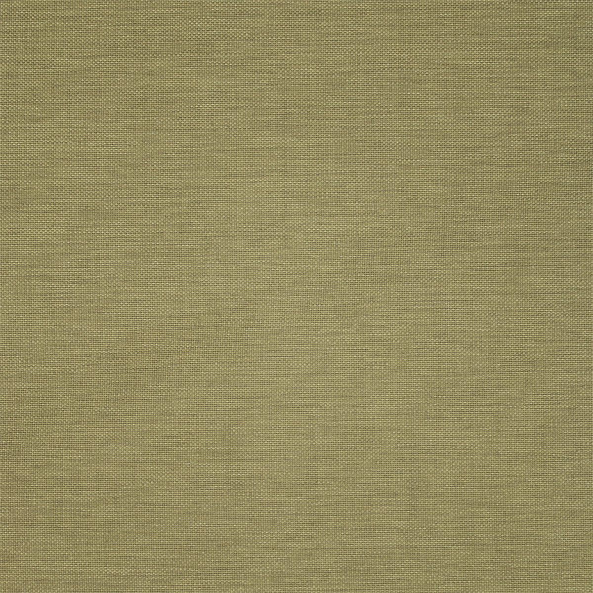 Greenhouse Fabrics fabric displayed for sophisticated decor ideas.