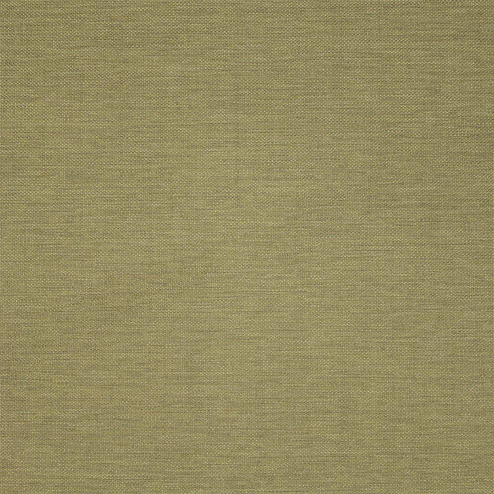 Greenhouse Fabrics fabric displayed for sophisticated decor ideas.