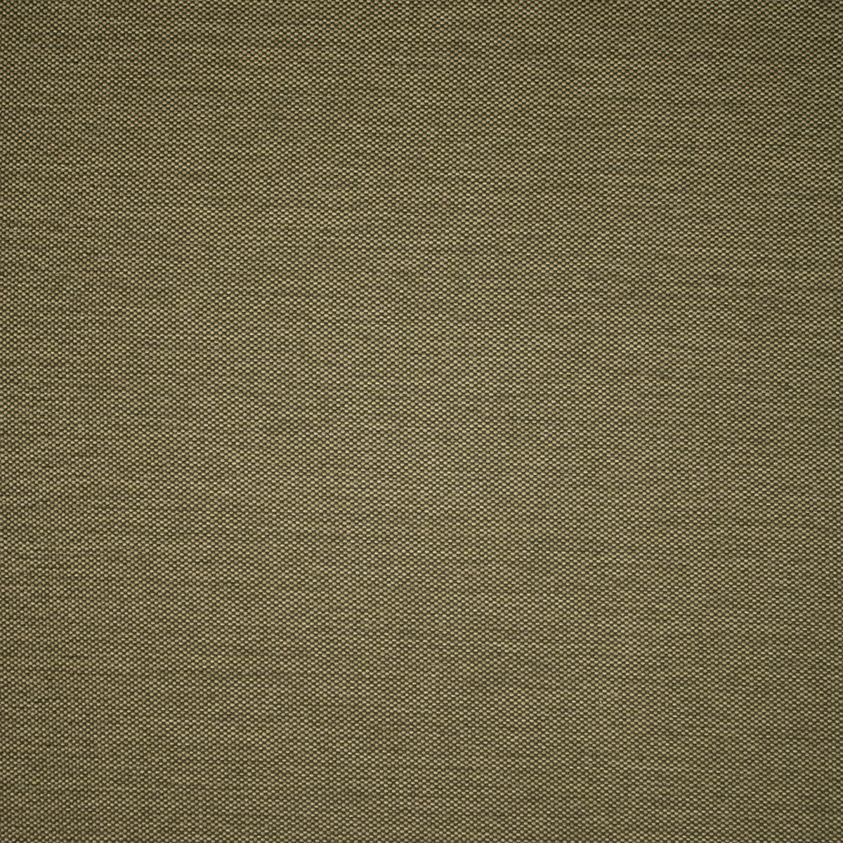 Close-up of Greenhouse Fabrics fabric, perfect for upholstery and home projects.
