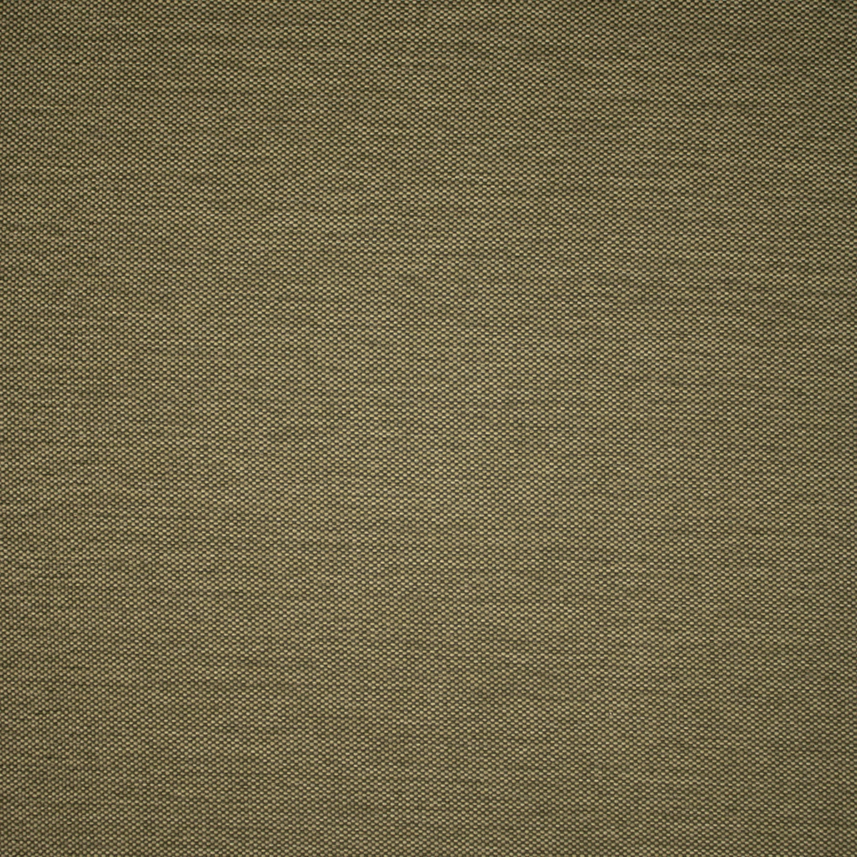 Close-up of Greenhouse Fabrics fabric, perfect for upholstery and home projects.