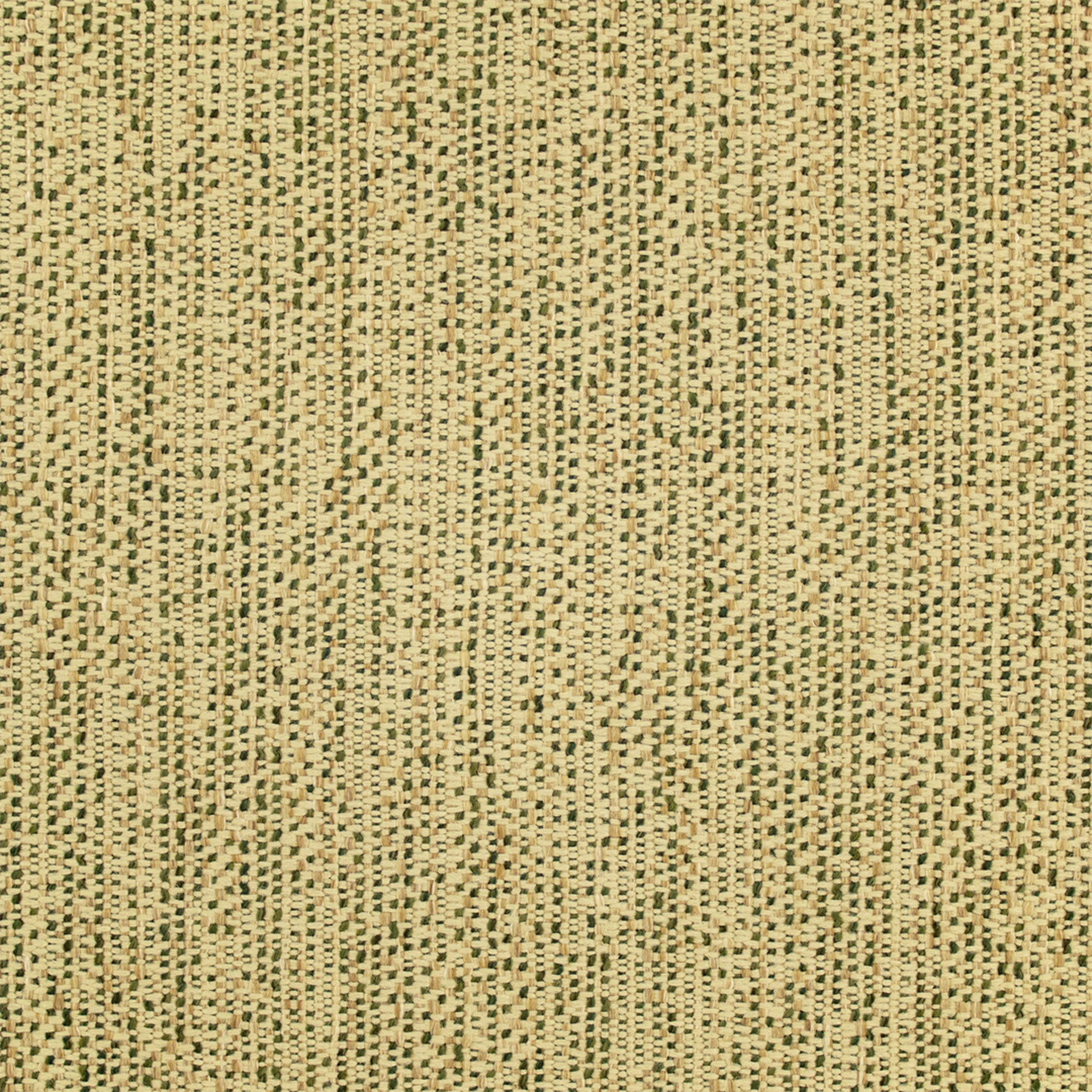 Detailed texture of Greenhouse Fabrics fabric for premium interior decor.