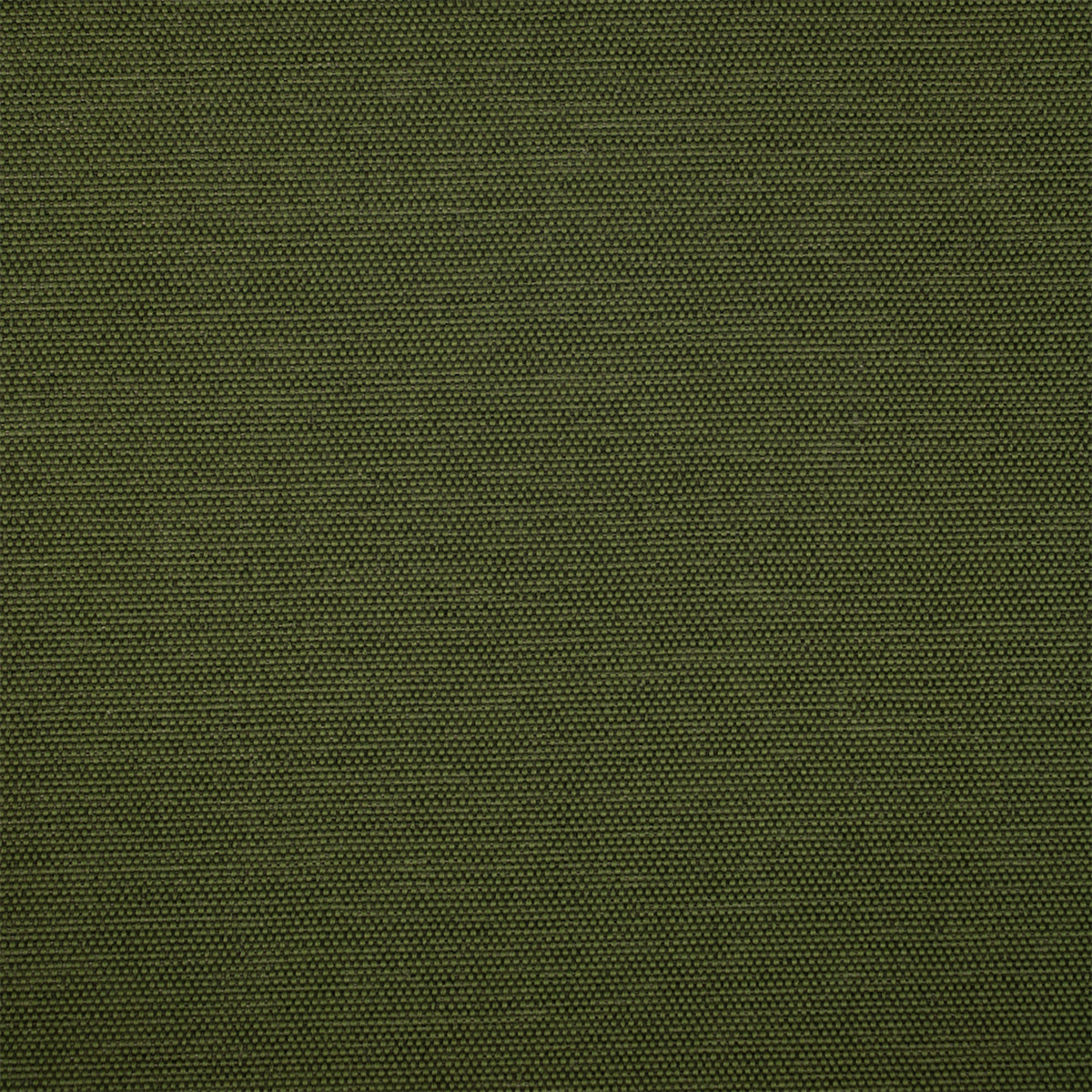 Detailed texture of Greenhouse Fabrics fabric for premium interior decor.