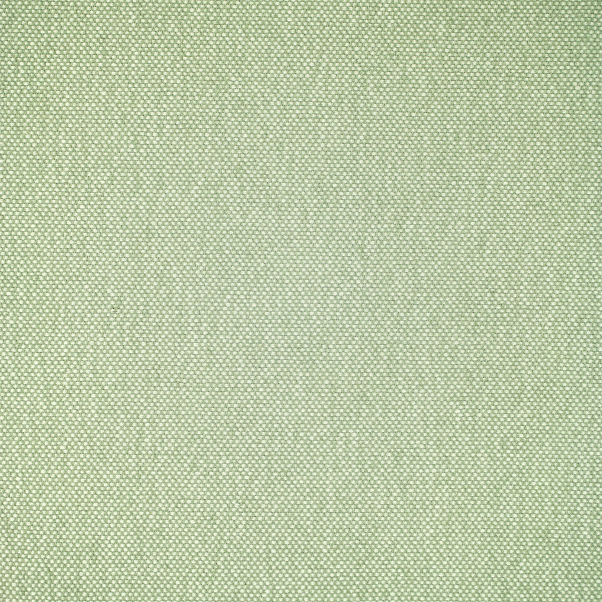 Close-up of Greenhouse Fabrics fabric, perfect for upholstery and home projects.