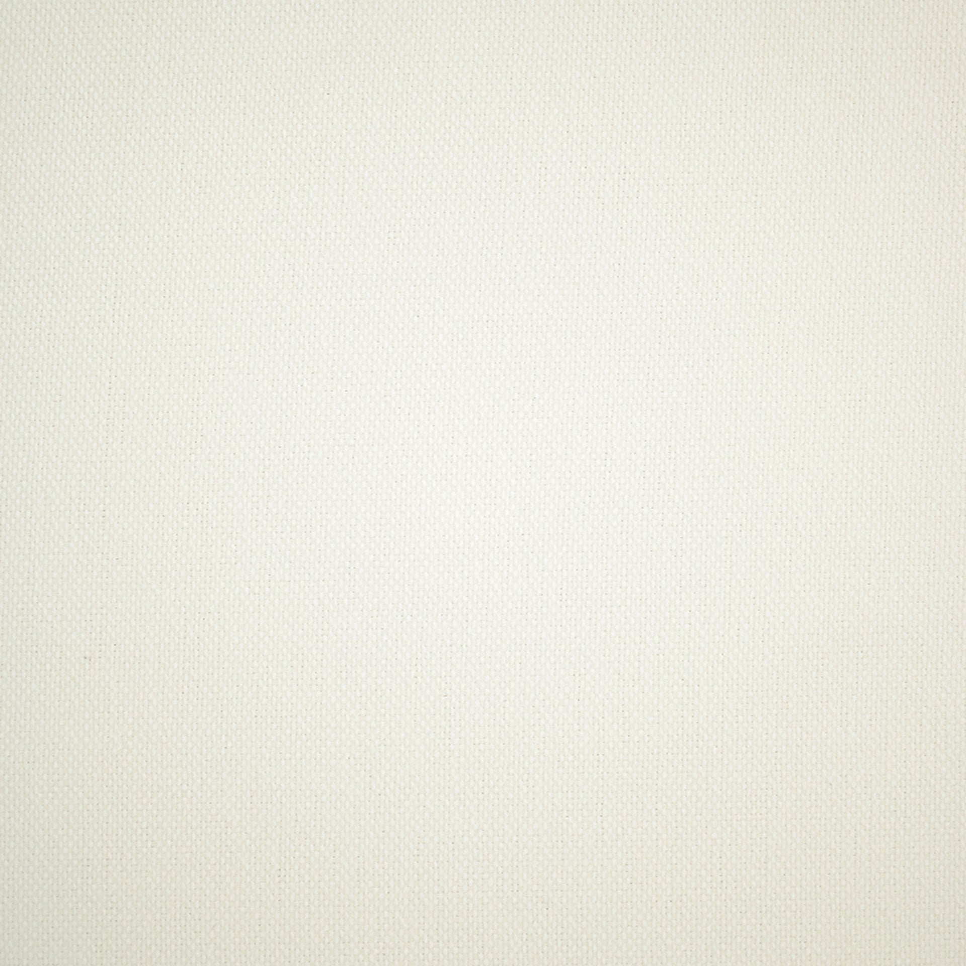 High-quality Greenhouse Fabrics fabric, perfect for custom upholstery and design.