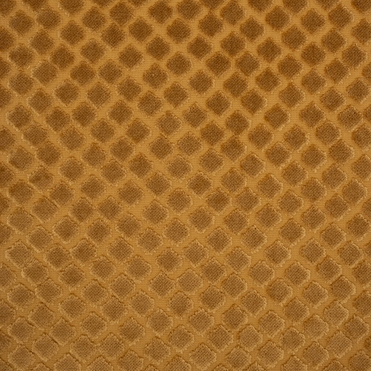 Greenhouse Fabrics fabric displayed for sophisticated decor ideas.
