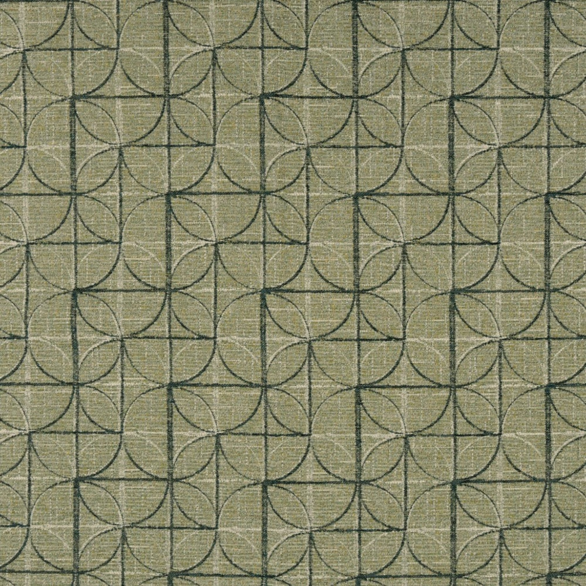 Detailed texture of Greenhouse Fabrics fabric for premium interior decor.