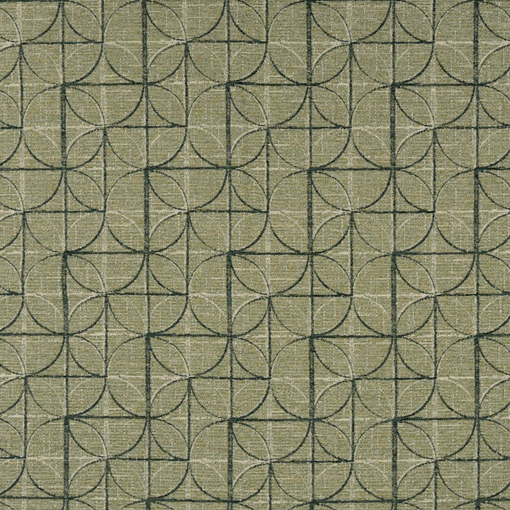 Detailed texture of Greenhouse Fabrics fabric for premium interior decor.