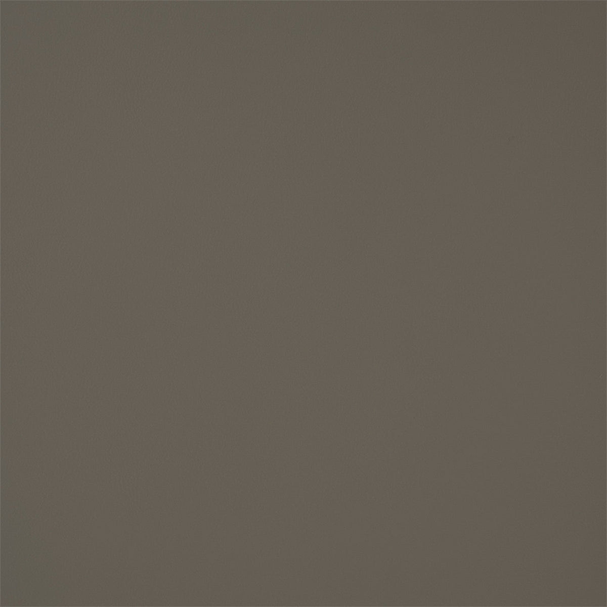 High-quality Greenhouse Fabrics fabric, perfect for custom upholstery and design.