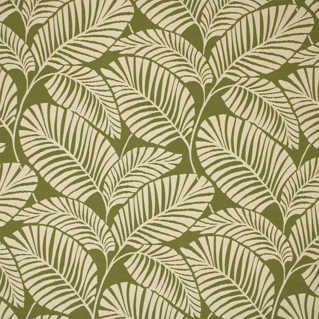 Greenhouse Fabrics F6230 Grass white outdoor fabric swatch