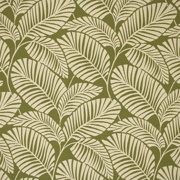 Greenhouse Fabrics F6230 Grass white outdoor fabric swatch