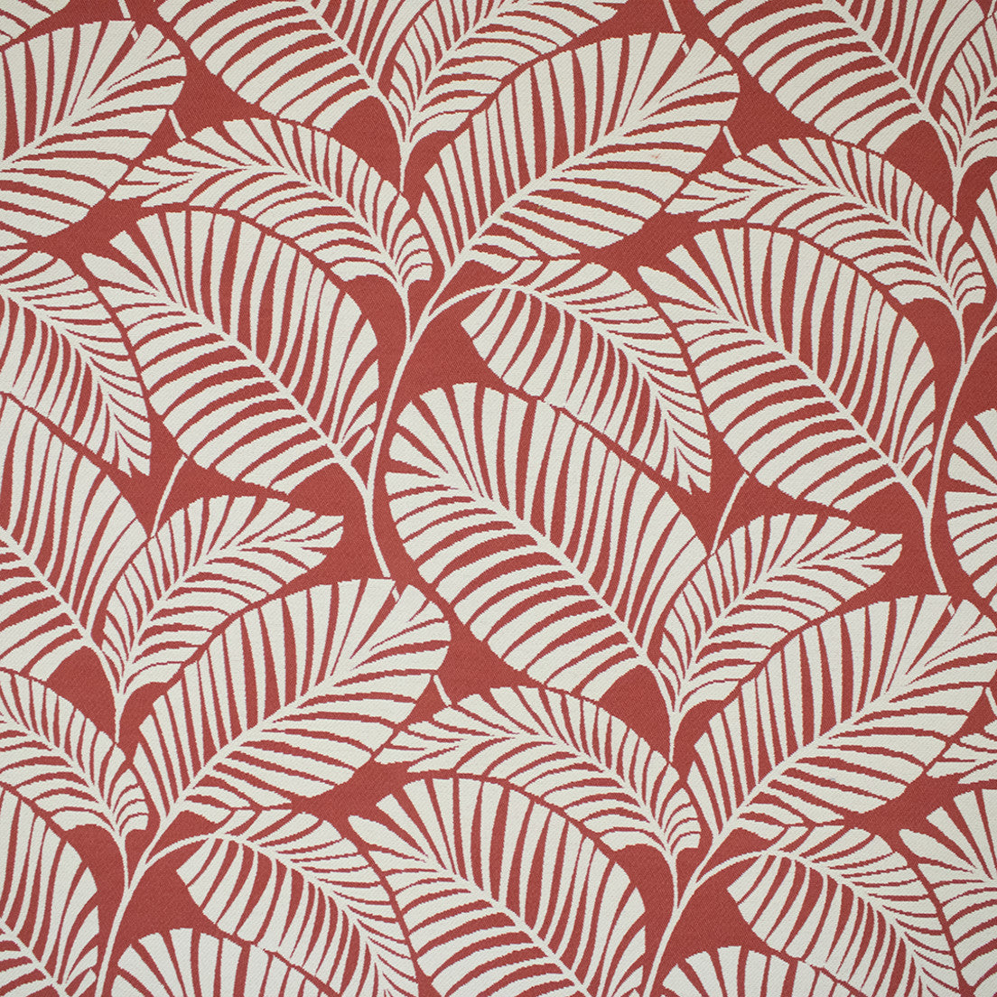 Greenhouse Fabrics F6274 Poppy white outdoor fabric swatch