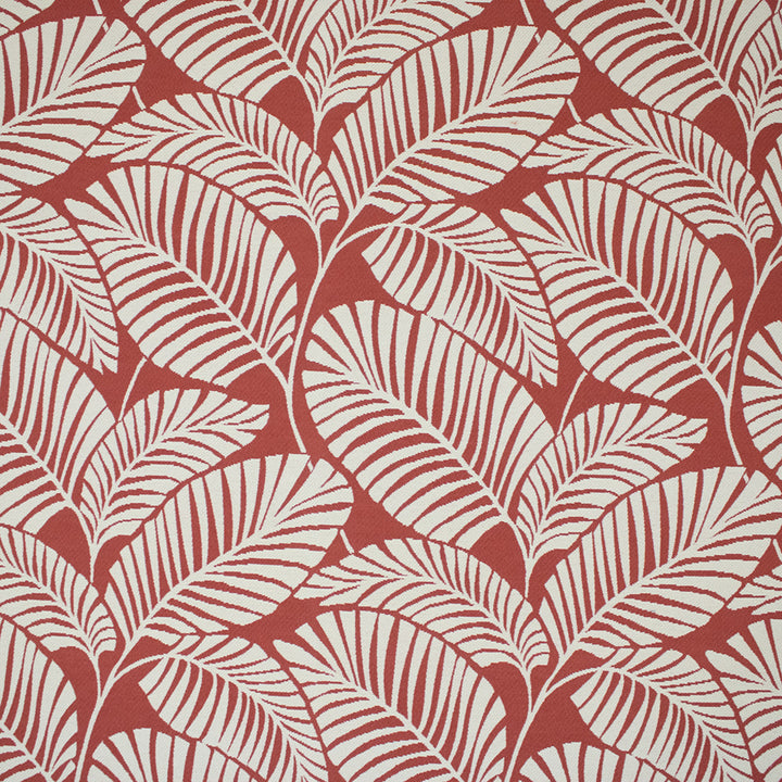 Greenhouse Fabrics F6274 Poppy white outdoor fabric swatch
