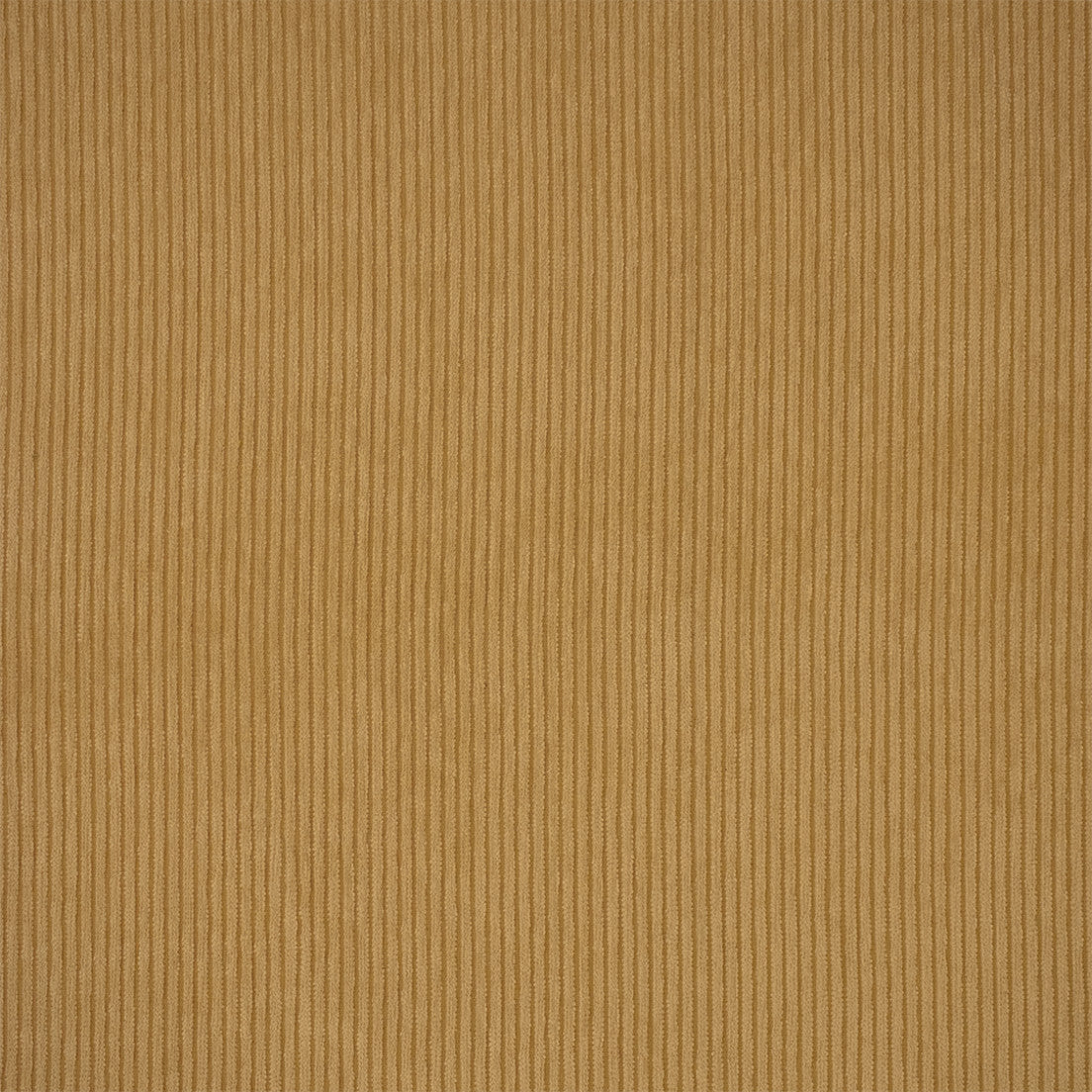 Greenhouse Fabrics F6291 Sisal yellow upholstery fabric swatch