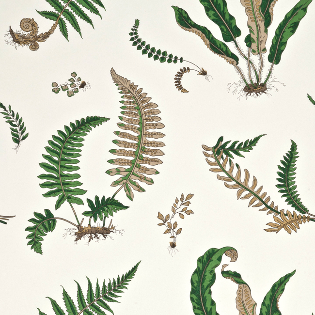 G P & J BAKER LARKHILL FERNS - ORIGINAL GREEN BW45044.1.0