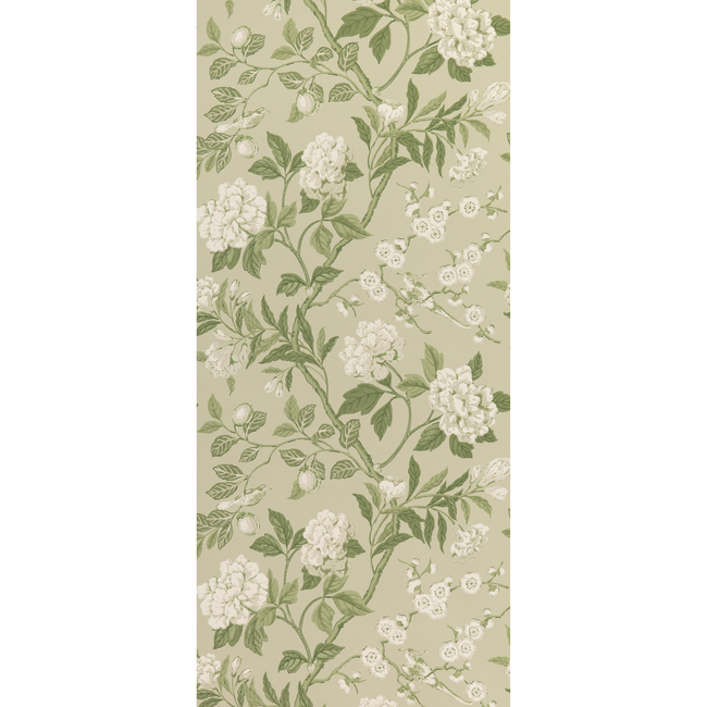 G P & J BAKER SIGNATURE II WALLPAPERS EMPEROR'S GARDEN - SOFT GREEN BW45000.10.0