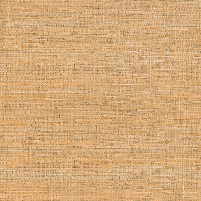 GASTON Y DANIELA GASTON Y DANIELA LORENZO CASTILLO IV AYLLON - PAJA LCW5469.009.0