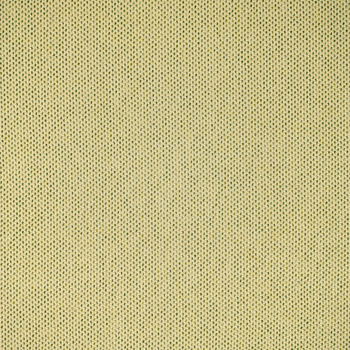 Green upholstery fabric