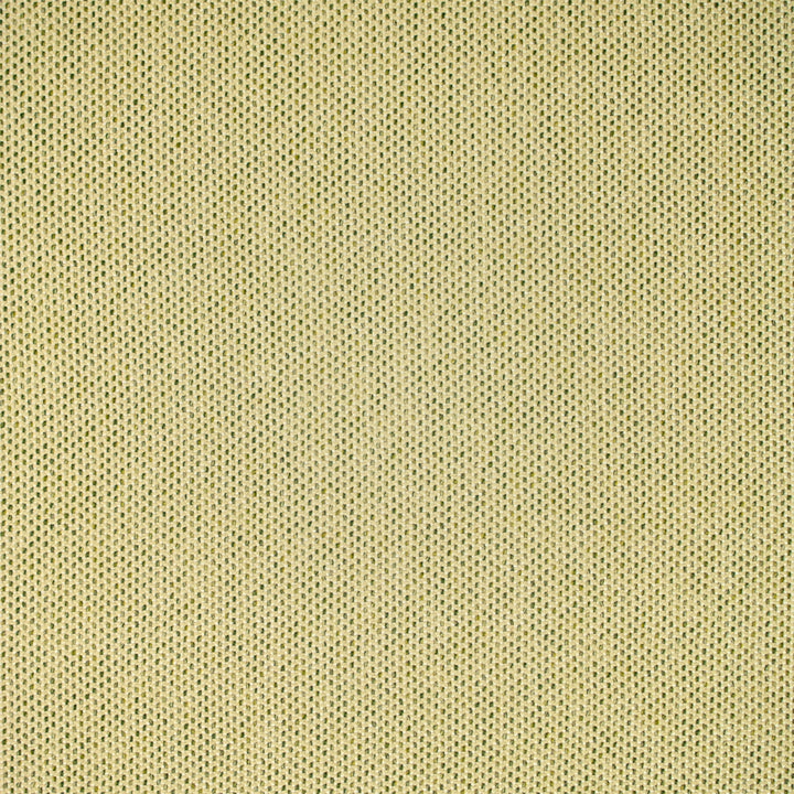 Green upholstery fabric