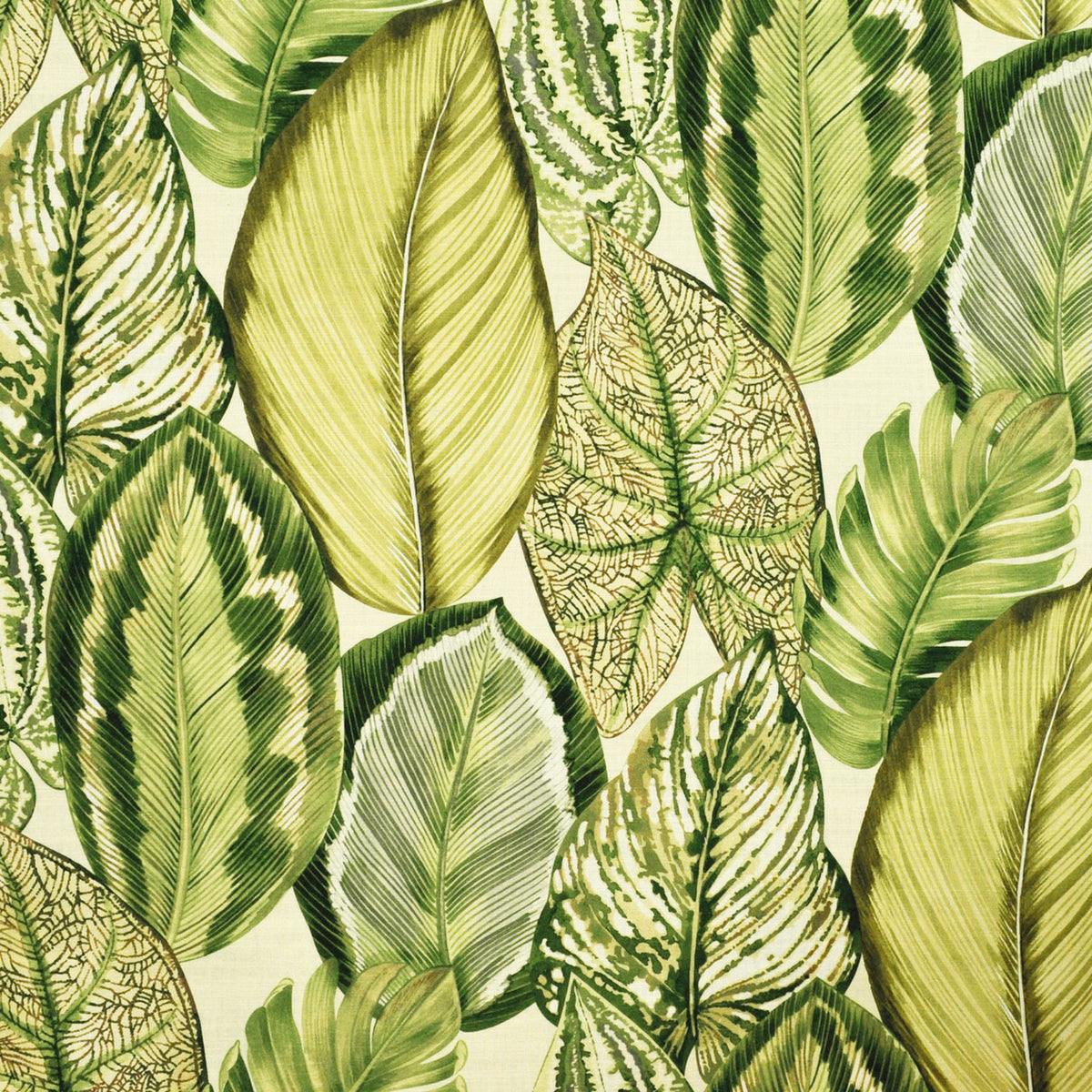 Green upholstery fabric