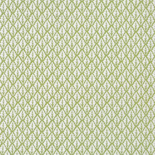 KRAVET BASICS DORSO - OLIVE DORSO.23.0