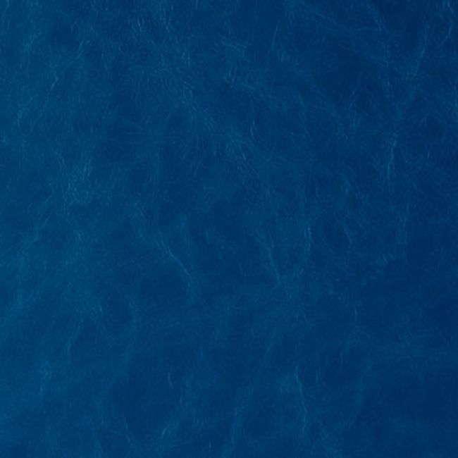 KRAVET CONTRACT STA-KLEEN DAYTRIPPER - BLUE NOTE DAYTRIPPER.5.0