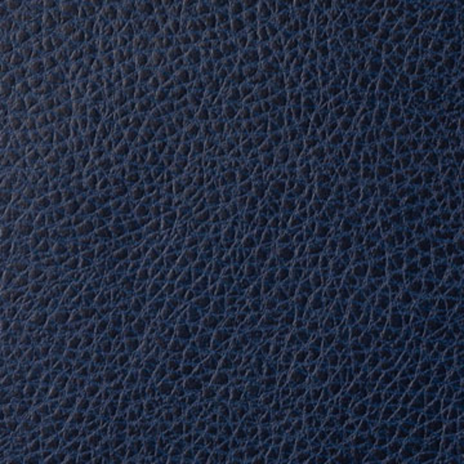 KRAVET CONTRACT STA-KLEEN FOOTHILL - INK FOOTHILL.50.0