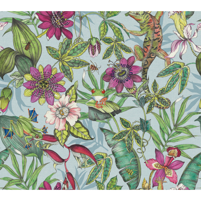KRAVET DESIGN BLOOMS SECOND EDITION RESOURCE LIBRARY KRAVET DESIGN - W4131-153 W4131.153.0
