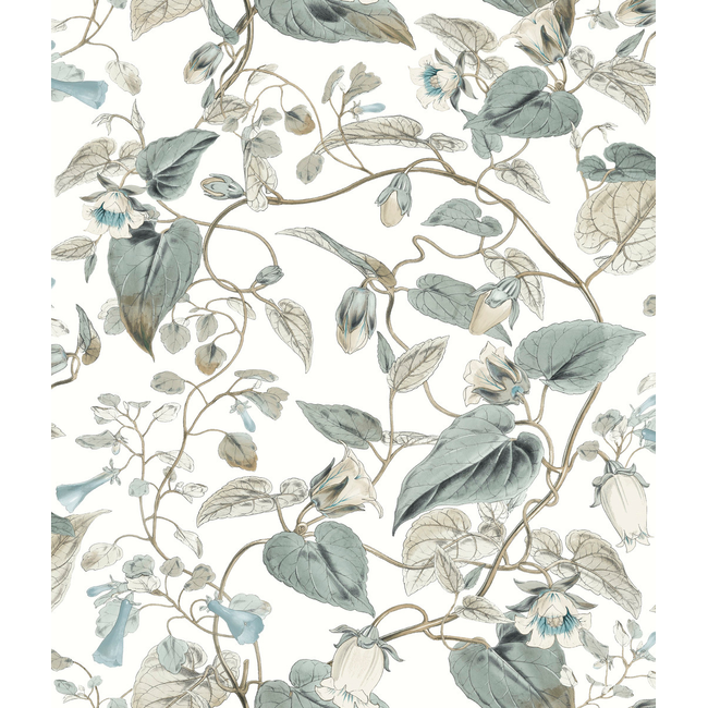 KRAVET DESIGN BLOOMS SECOND EDITION RESOURCE LIBRARY KRAVET DESIGN - W4132-511 W4132.511.0