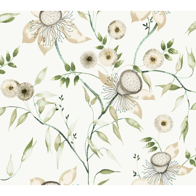 KRAVET DESIGN BLOOMS SECOND EDITION RESOURCE LIBRARY KRAVET DESIGN - W4140-31 W4140.31.0