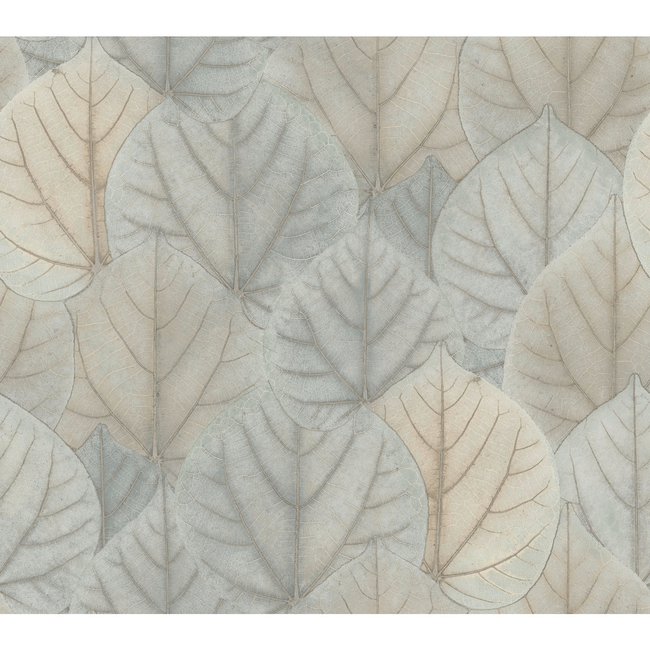 KRAVET DESIGN CANDICE OLSON MODERN NATURE 2ND EDITION KRAVET DESIGN - W3880-130 W3880.130.0