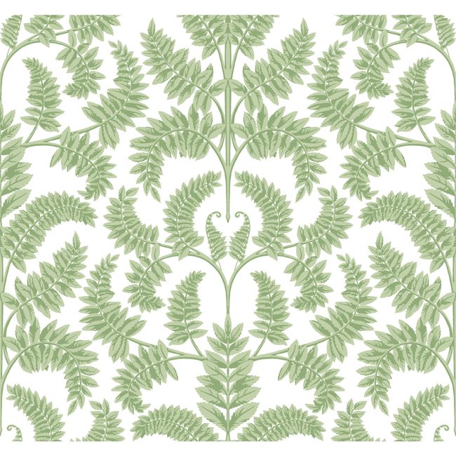 KRAVET DESIGN DAMASK RESOURCE LIBRARY KRAVET DESIGN - W3891-330 W3891.330.0
