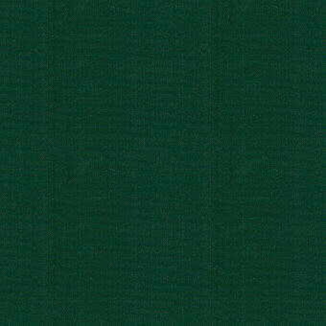 KRAVET DESIGN INDOOR / OUTDOOR SOLEIL CANVAS - FOREST 16235.3.0