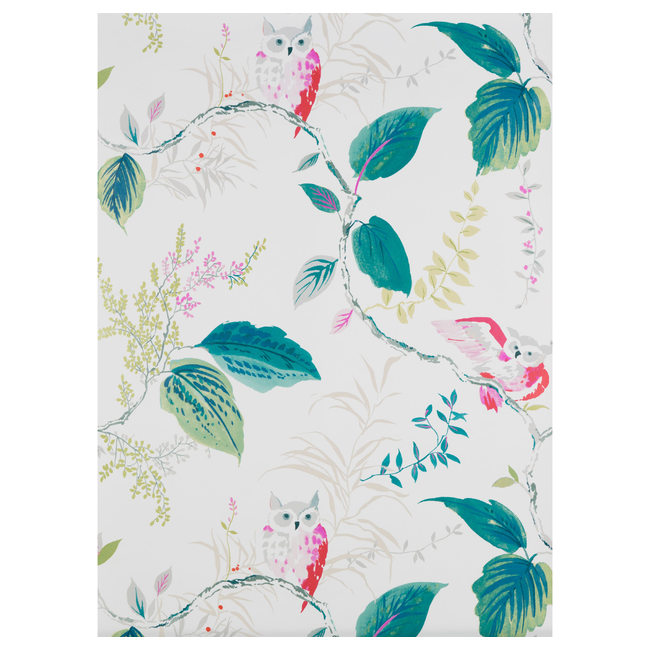 KRAVET DESIGN KATE SPADE NEW YORK WHIMSIES OWLISH - MULTI W3331.911.0